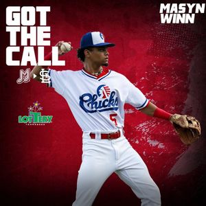 Image post by @memphisredbirds on Instagram