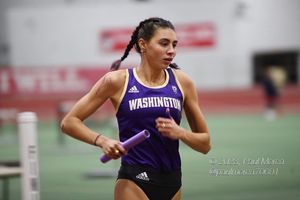 Image post by @sophie.osullivan on Instagram