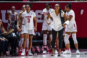 Image post by @utahwbb on Instagram
