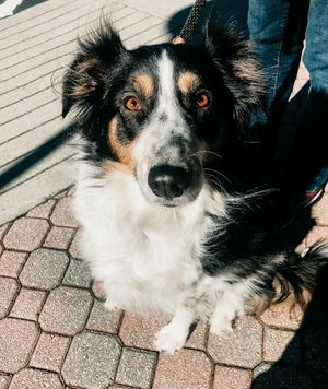 Image post by @courtlyb on Instagram