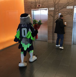 Image post by @blitztheseahawk on Instagram