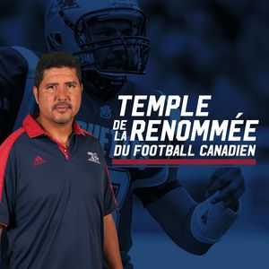 Image post by @mtlalouettes on Instagram