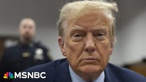 Video post by @msnbc on YouTube