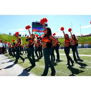 Image post by @csugoldenpoms on Instagram