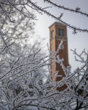 Image post by @northern_iowa on Instagram