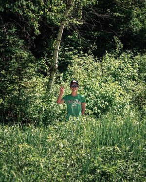 Image post by @joeydavisson on Instagram