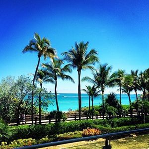 Image post by @elizabethelias on Instagram
