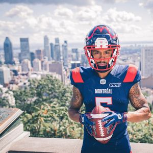Image post by @mtlalouettes on Instagram