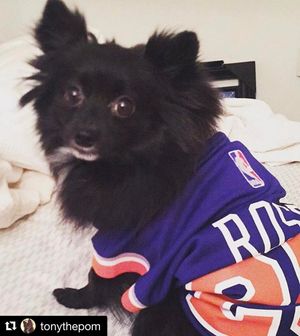 Image post by @msgnetworks on Instagram