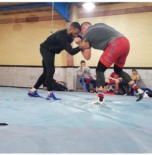Image post by @alliseeisgold on Instagram