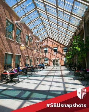 Image post by @stonybrooku on Instagram