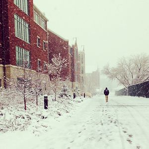 Image post by @brighamyounguniversity on Instagram