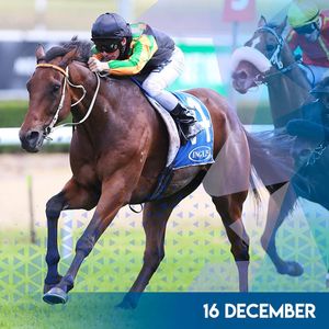 Image post by @australianturfclub on Instagram