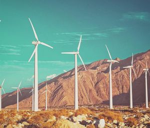 Image post by @goldenvoice on Instagram