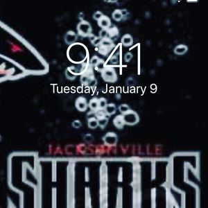 Image post by @jaxsharks on Instagram