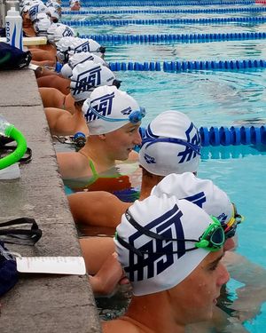 Image post by @arenausa on Instagram