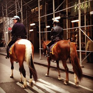 Image post by @laraleatrump on Instagram