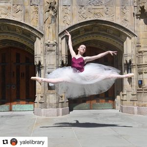 Image post by @yalevolleyball on Instagram