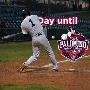Image post by @palominoworldseries on Instagram