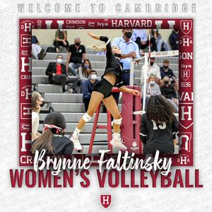 Image post by @harvardwvball on Instagram