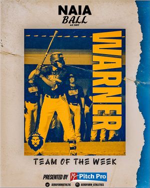 Image post by @NAIABall on Twitter