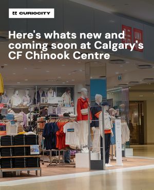 Image post by @curiocitycalgary on Instagram