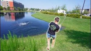 Video post by @jon b. on YouTube