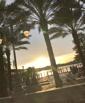 Image post by @mhallock23 on Instagram