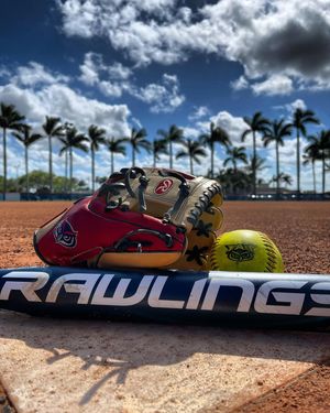 Image post by @fausoftball on Instagram