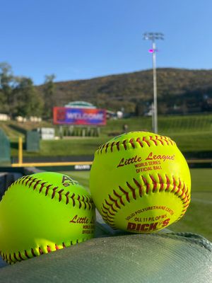 Image post by @LittleLeague on Twitter