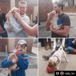 Image post by @rally_house on Instagram