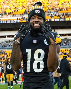 Image post by @steelers on Instagram
