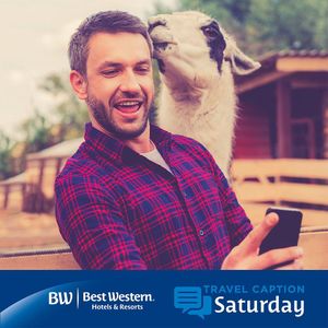 Image post by @bestwestern on Instagram
