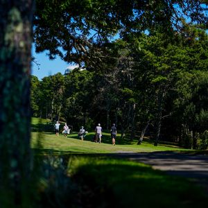Image post by @playmassgolf on Instagram