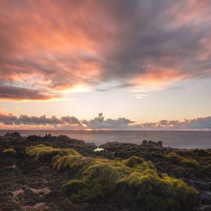 Image post by @sonyalpha on Instagram