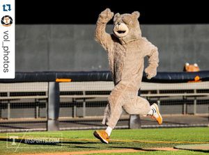 Image post by @vol_baseball on Instagram