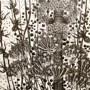 Image post by @drawingcenter on Instagram