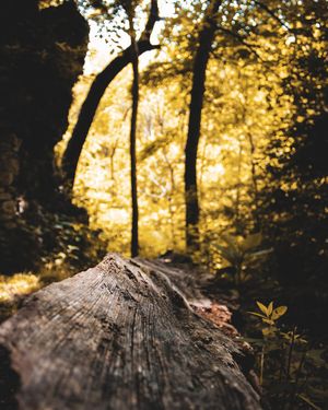 Image post by @nicolezaayerphotography on Instagram