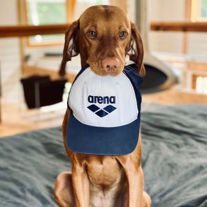 Image post by @arenausa on Instagram