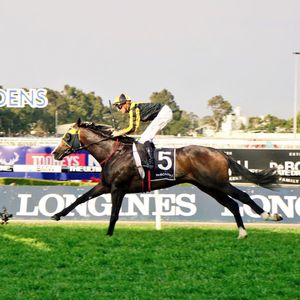 Image post by @australianturfclub on Instagram