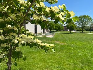 Image post by @shippensburgu on Instagram