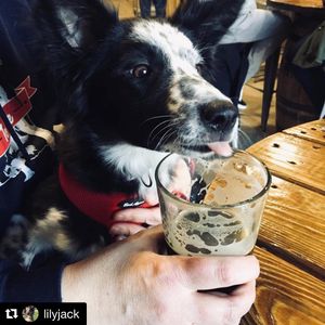 Image post by @navigationbrewingco on Instagram