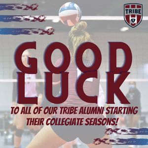 Image post by @mytribevolleyball on Instagram