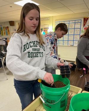 Image post by @isd883 on Instagram