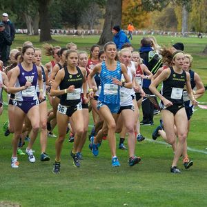 Image post by @uclaxc on Instagram