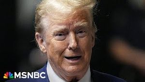 Video post by @msnbc on YouTube