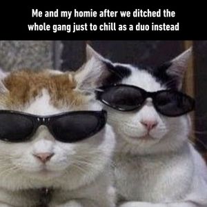 Image post by @9gag on Instagram