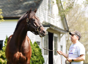 Image post by @spendthriftfarm on Instagram