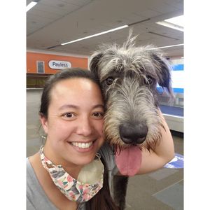 Image post by @thesavannahwolfhound on Instagram