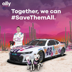 Image post by @allyracing on Twitter